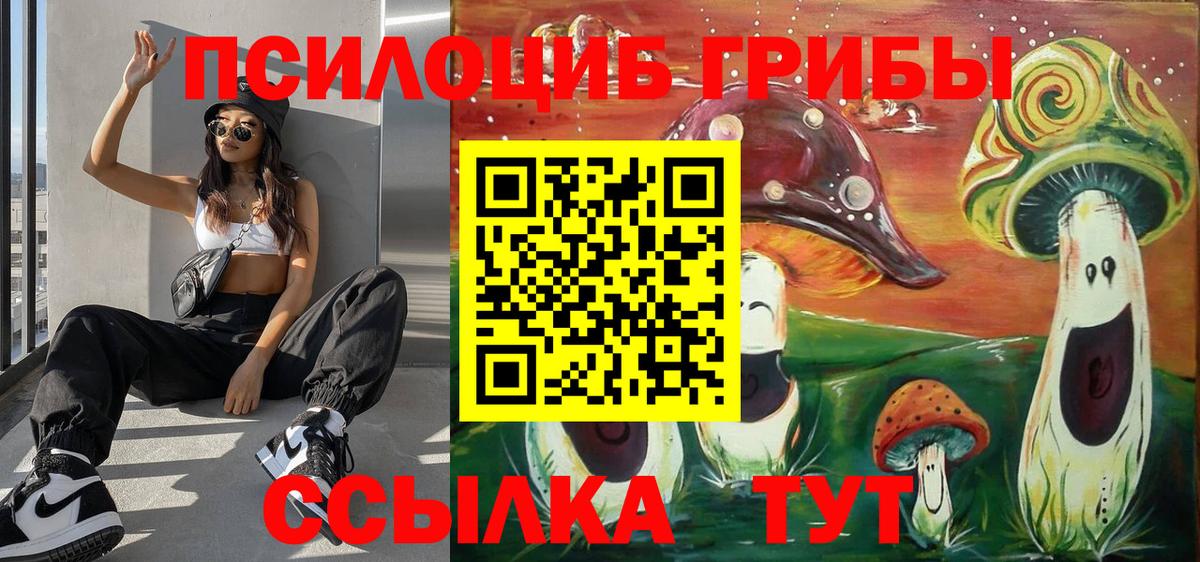 Псилоцибиновые грибы Psilocybe  Вход с VPN  Галлюциногенные грибы прущие грибы  продажа наркотиков  Самара 